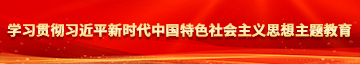 黄色视频插进去哦哦学习贯彻习近平新时代中国特色社会主义思想主题教育